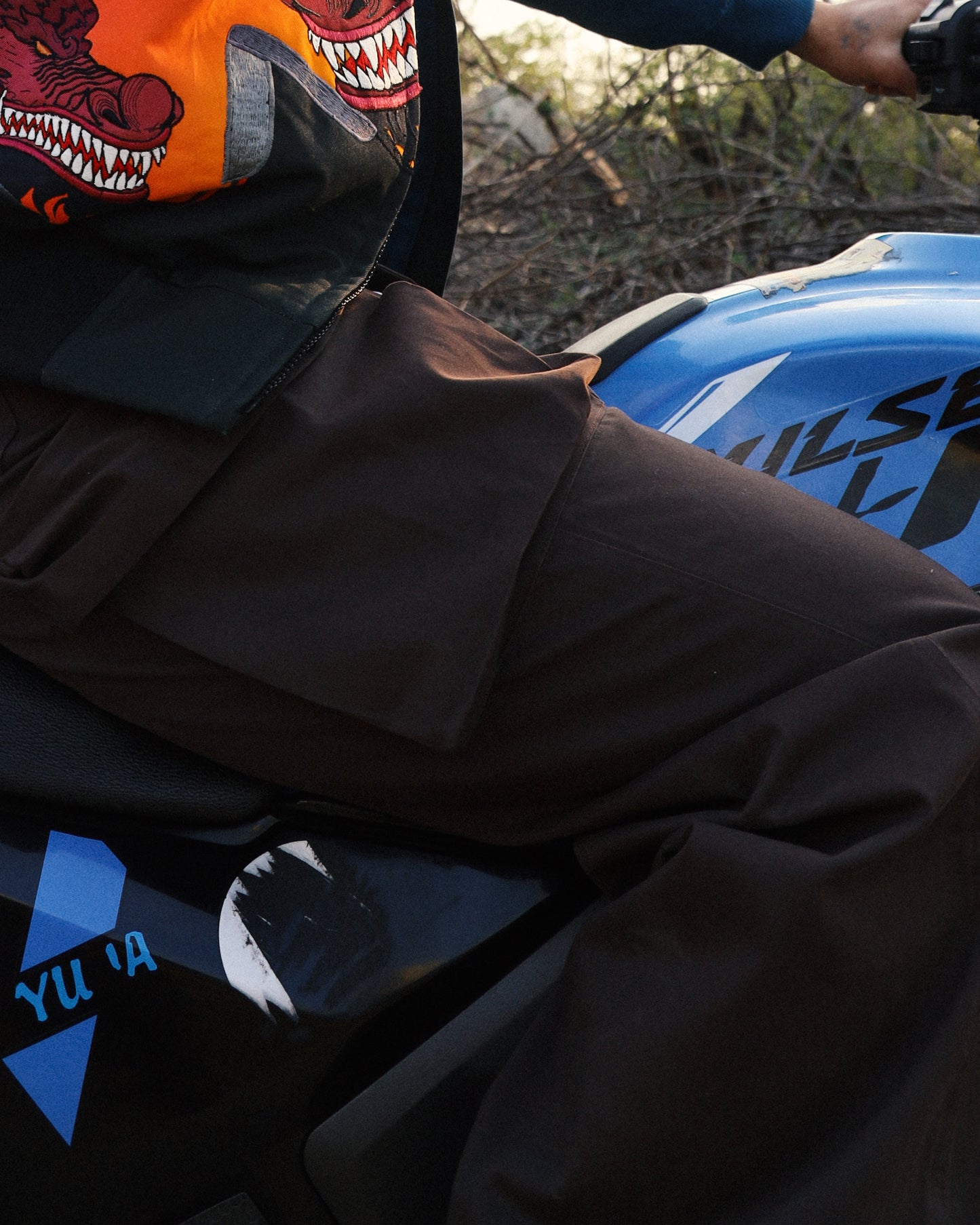 Explorer pants